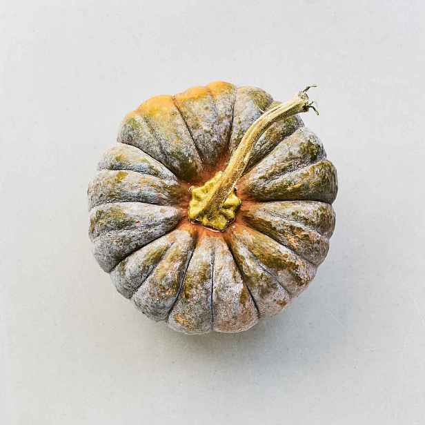 Culina Botanica Dýně Futsu Black