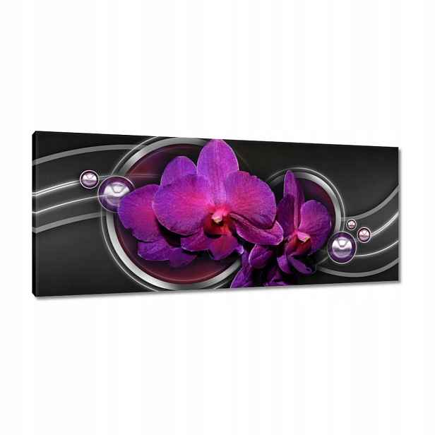 Obrazy 100x40 Fialová orchidej
