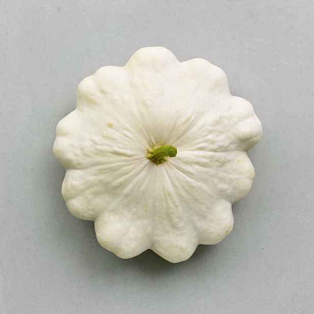 Culina Botanica Patizon Custard White BIO