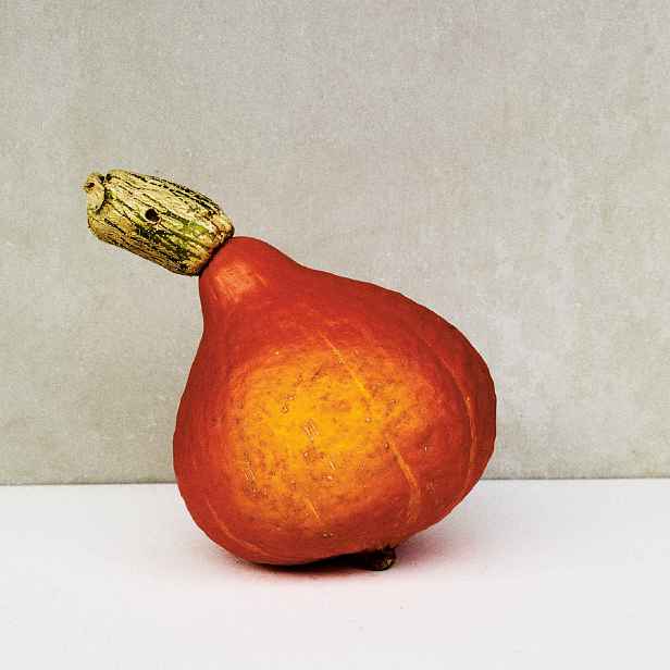 Culina Botanica Dýně Hokkaido Red Kuri BIO