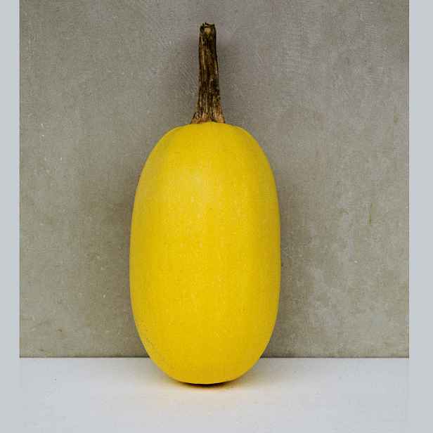 Culina Botanica Dýně špagetová BIO
