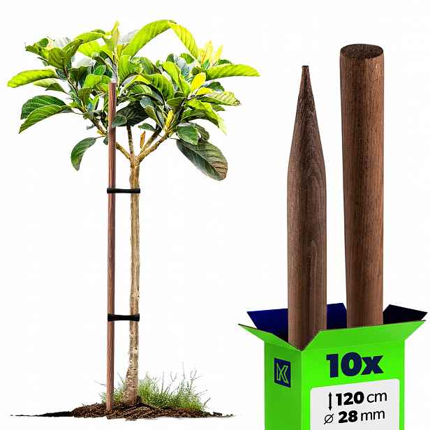 10 x Dřevěné Tyče Na Rajčata 120 cm Impregnovaná Podpěra 28 mm