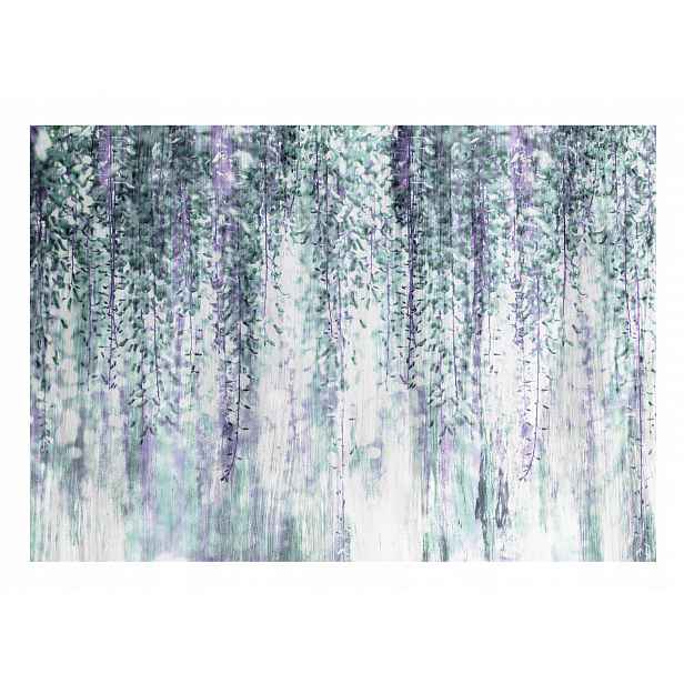 Fototapeta Wisteria Závěsné Listy Větvičky 312x219