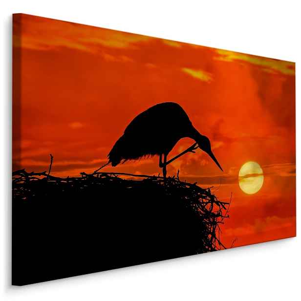 MyBestHome BOX Plátno Čapí Hnízdo Varianta: 70x50