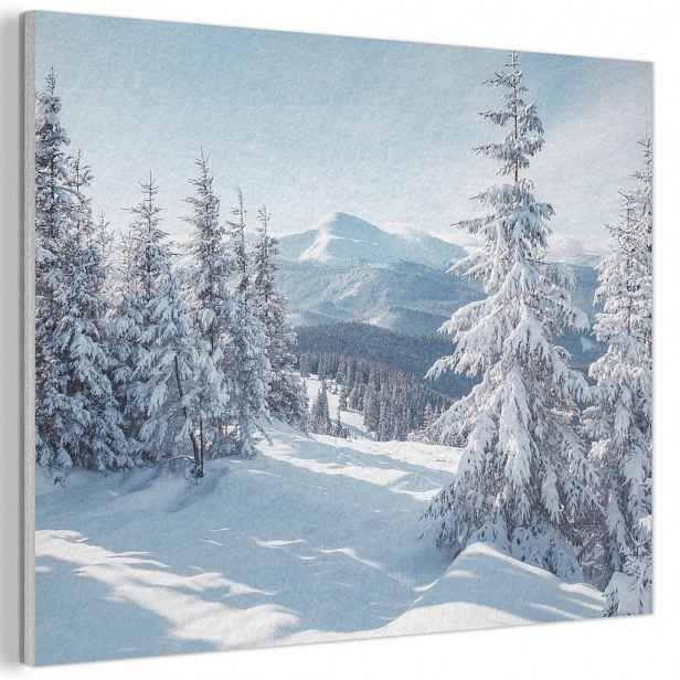 MuchoWow AKUSTICKÝ obraz Zimní krajina - Příroda - Hory - Stromy - Sníh 100x70 cm