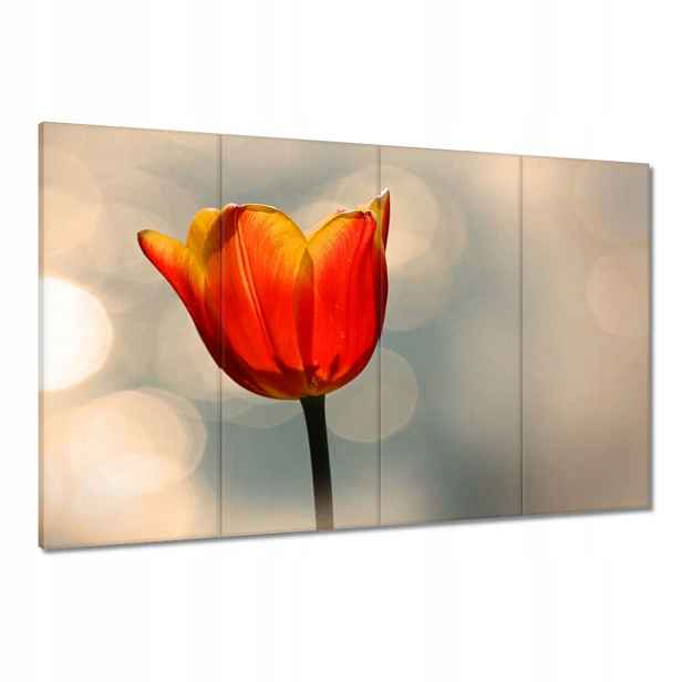 Obrazy 120x80 Oranžový tulipán