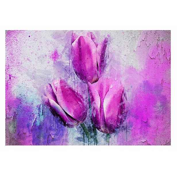 Fototapeta pastelové Tulipány květy beton 416x254