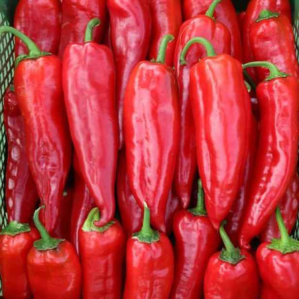Culina Botanica Paprika Korosko BIO