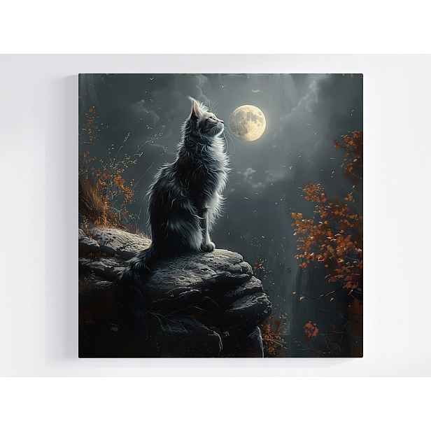 Obraz Na Plátně Canvas Noc Temnota Nebe Měsíc Šedá Kočka Kocur 50x50