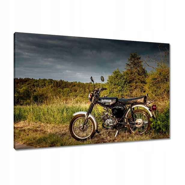 Obrazy 90x60 Černý Simson ve venkovním prostředí