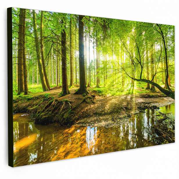 MuchoWow OBRAZ NA PLÁTNĚ Les - Krajina - Voda - Stromy - Slunce - Zeleň - Příroda 30x20 cm