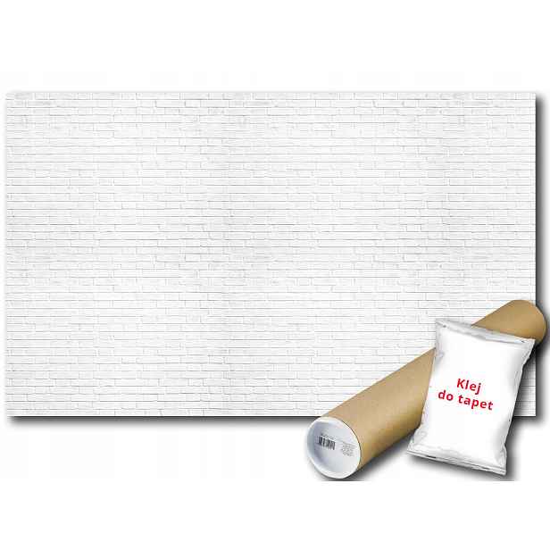 Fototapeta Zeď Bílá Cihla 6F F3XL 416x254 F1782
