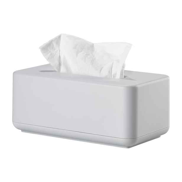 Plastový box na kapesníky Ume – Zone