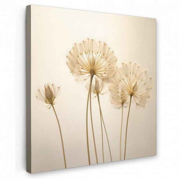 MuchoWow OBRAZ NA PLÁTNĚ Sluneční světlo - Pampeliška - Botanické - Květiny 20x20 cm