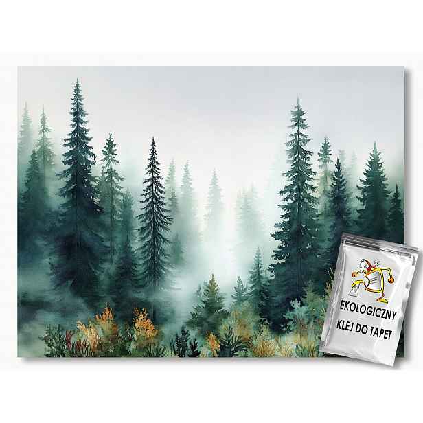 Fototapeta Flizelina Krajina Příroda Les Stromy Smrky Mlha 254x184 130g
