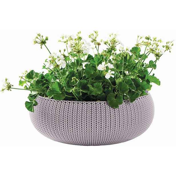 KETER Květináč COZY L - fialová