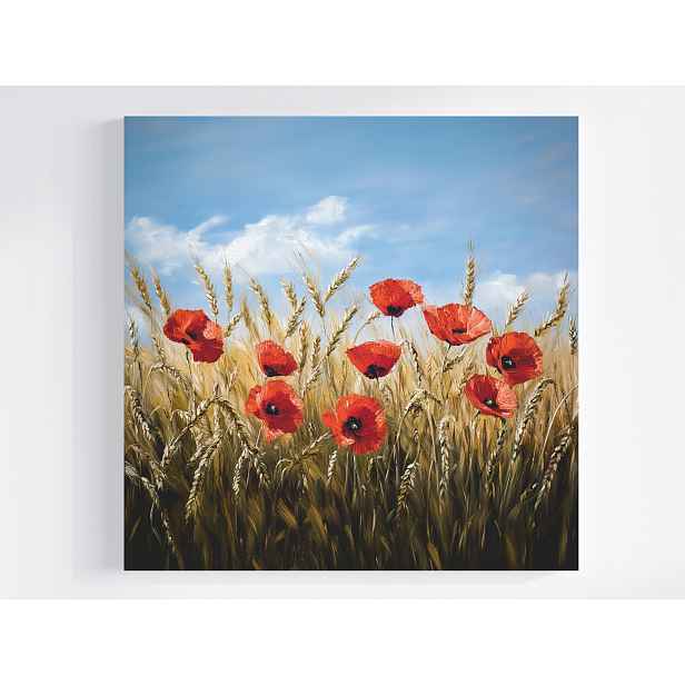 Obraz Na Plátně Canvas Maki Pole Nebe 50x50