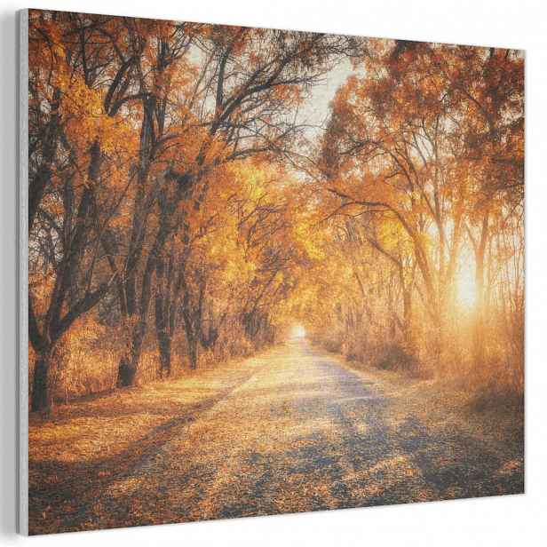 MuchoWow AKUSTICKÝ obraz Les - Podzim - Stromy - Lesní cesta - Příroda 80x60 cm