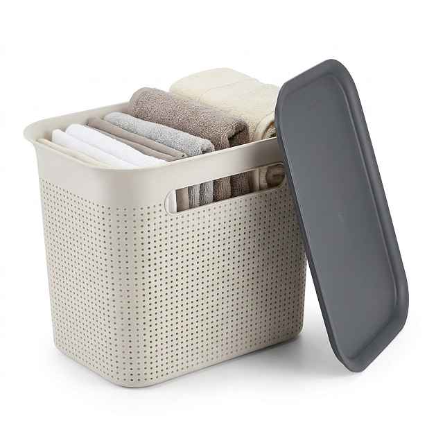Rotho Úložný box s víkem a s madly BRISEN 7l, 26x18x21cm, bílý