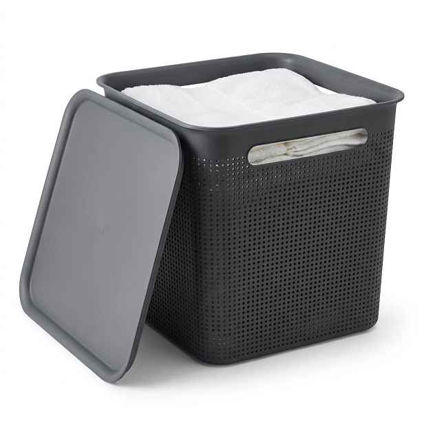 Rotho Úložný box s víkem a s madly BRISEN 18l, 29x29x29cm, černý