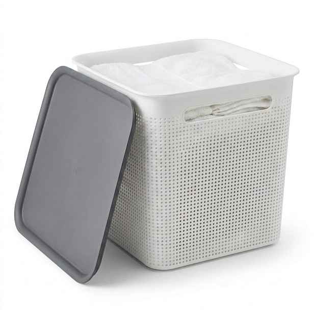 Rotho Úložný box s víkem a s madly BRISEN 18l, 29x29x29cm, bílý