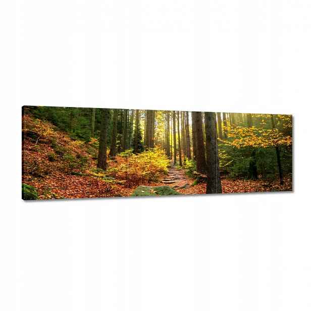 Obrazy 120x40 Krajina