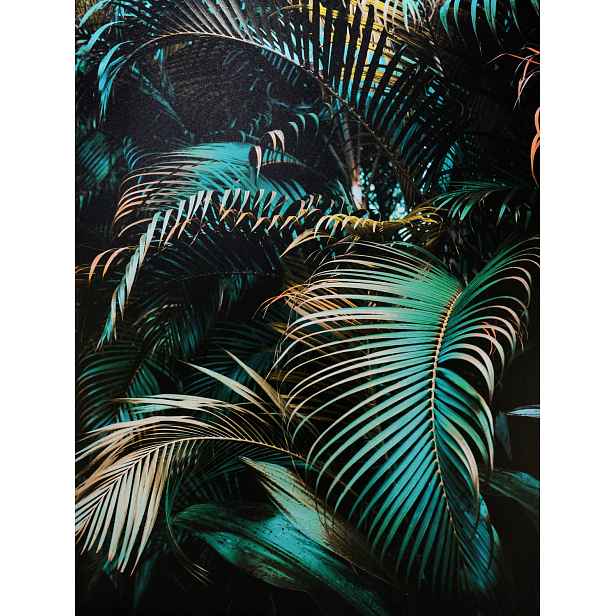 Obraz na plátně Zelené palmové listy, 60x80 cm