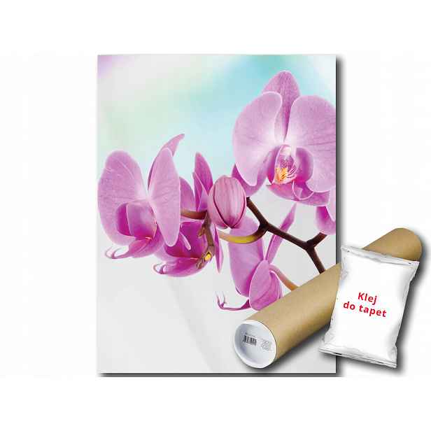 Růžová Fototapeta Orchidej 9D Panxl 206x275 F116