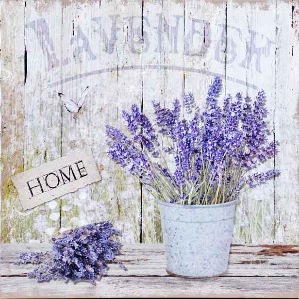 Obraz na plátně Levandule zátiší Home, 40x40 cm