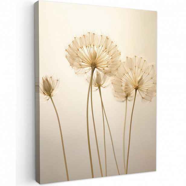 MuchoWow OBRAZ NA PLÁTNĚ Sluneční světlo - Pampeliška - Botanické - Květiny 30x40 cm