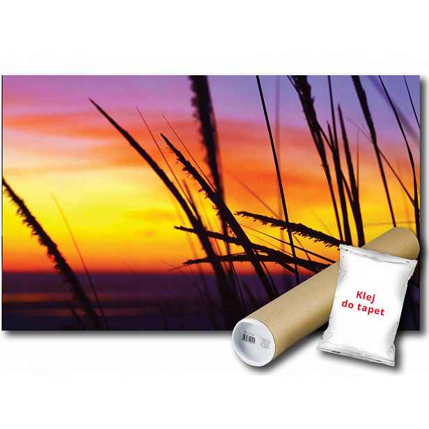 Fototapeta Západ Slunce 7A V4 254x184 F650