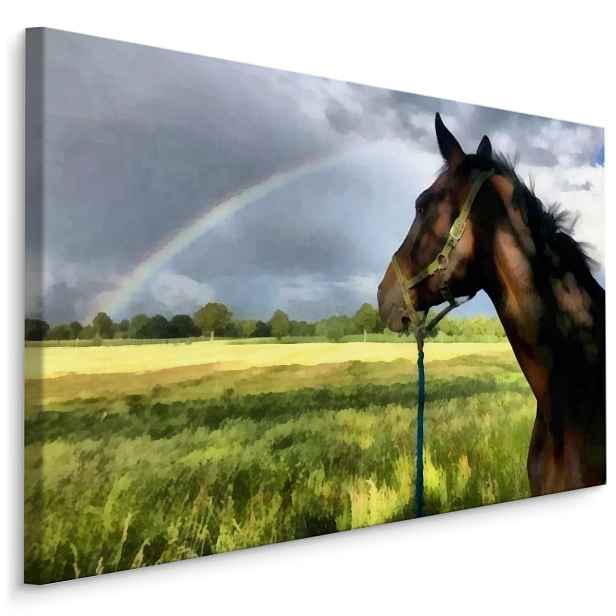 MyBestHome BOX Plátno Kůň Na Louce Varianta: 120x80