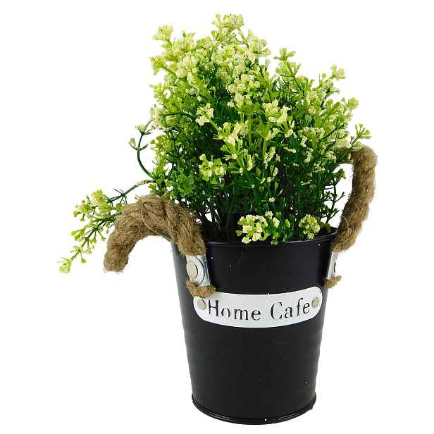 PROHOME - Sukulent 23cm různé barvy