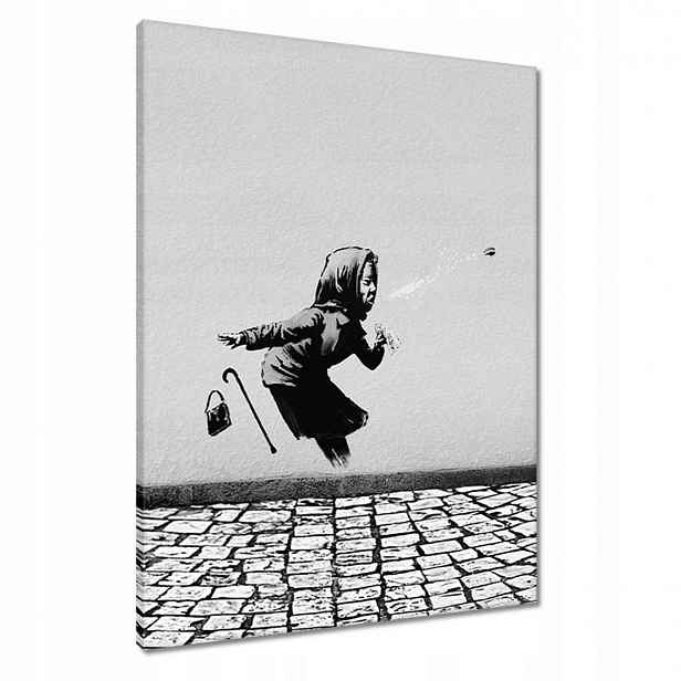 Obrazy 60x80 Banksy Babička Achoo Psik