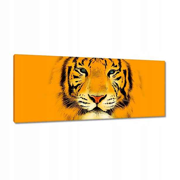 Obrazy 100x40 Oranžový tygr