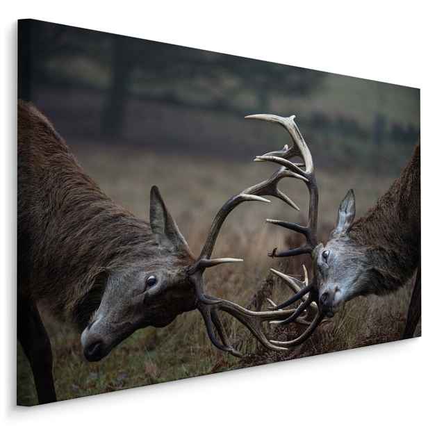 MyBestHome BOX Plátno Souboj Jelenů Varianta: 30x20
