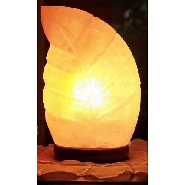 Solná lampa ve tvaru listu, 3-4 kg