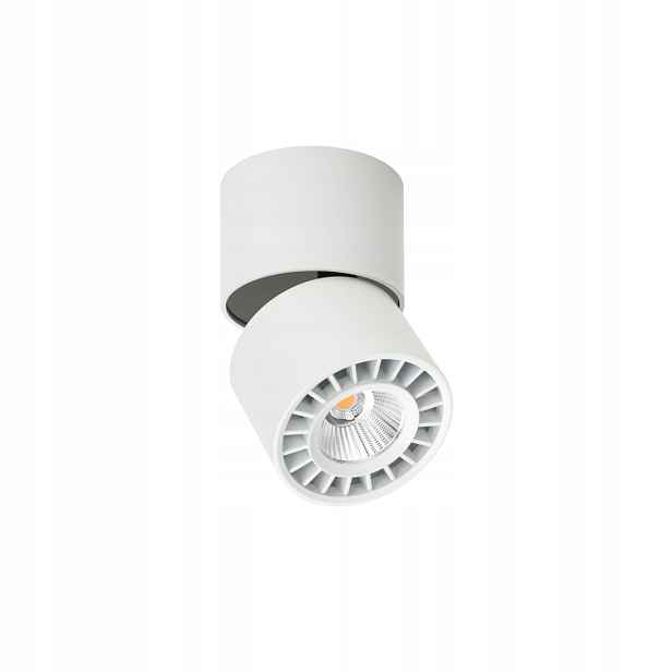 Italux Herios Led stropní reflektor 12W 3000K 1808lm bílý pohyblivý