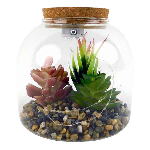 PROHOME - Sukulent ve skle 15x15x15cm LED