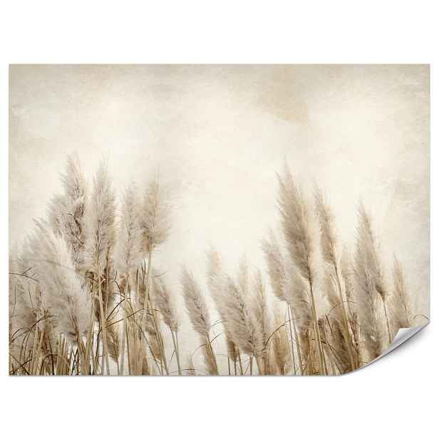 Muralo FOTOTAPETA do Ložnice Boho Pampová Tráva Beton Rostliny Vintage 450x315