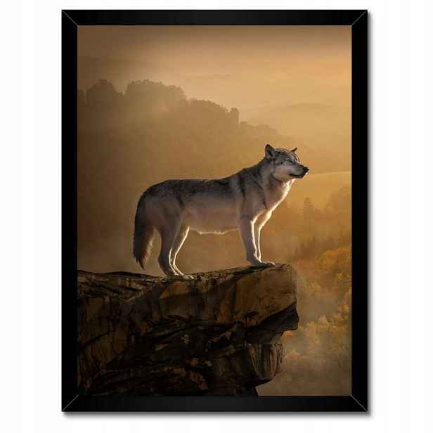 Plakáty v rámu 30x40 Vlk Wolf