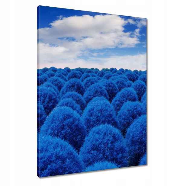 Obrazy 60x80 v klasické modré barvě