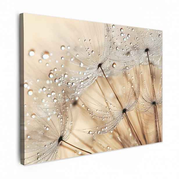 MuchoWow OBRAZ NA PLÁTNĚ Pampeliška - Abstraktní - Příroda - Béžová 80x60 cm