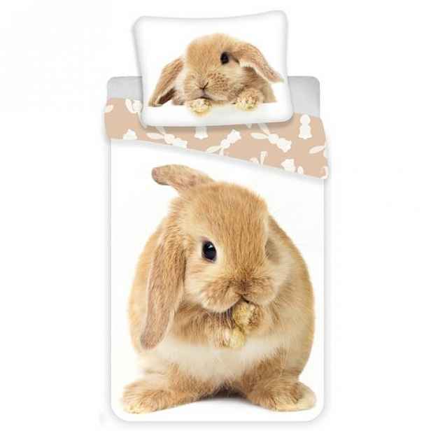 Jerry Fabrics Dětské bavlněné povlečení Bunny brown, 140 x 200 cm, 70 x 90 cm