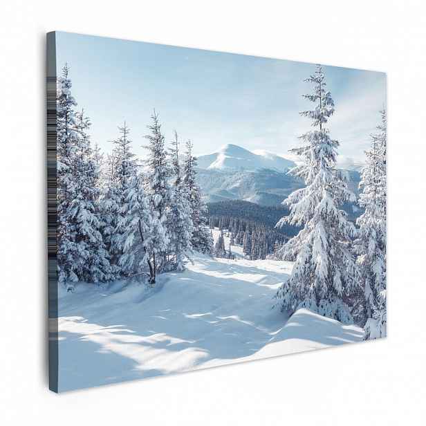MuchoWow OBRAZ NA PLÁTNĚ Zimní krajina - Příroda - Hory - Stromy - Sníh 40x30 cm