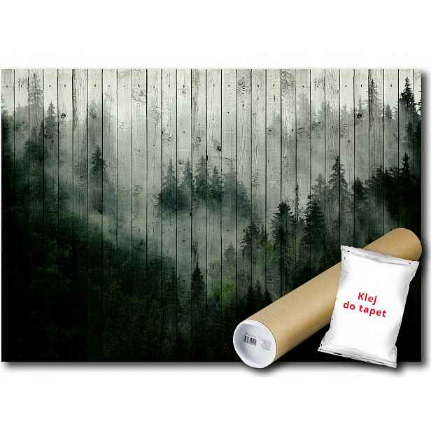 Vliesová fototapeta s motivem lesa, mlhy a hor, rozměr 368x254