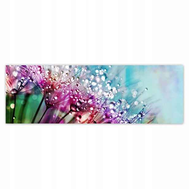 Plakáty 200x66 Kapky rosy Pampeliška