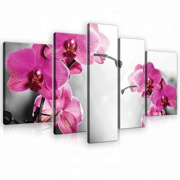 Obraz Na Plátně Stěna Květiny Orchideje Do Ložnice Velký 5 Dílů 170x100