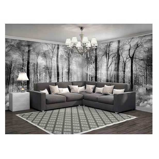 Fototapeta rohová Les mlha 3D efekt 624x219