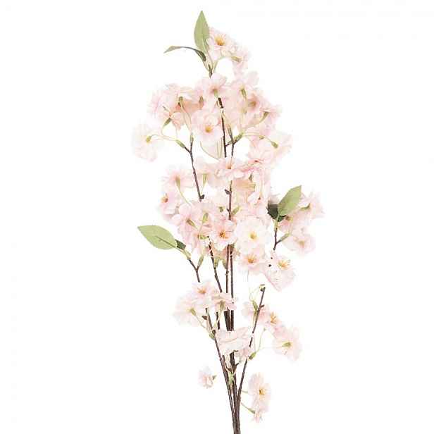 Větvička třešeň s růžovými květy Cherry Blossom - 10*12*90 cm Clayre & Eef